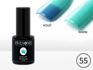 Awesome #55 Blauw naar Mint groen Thermo